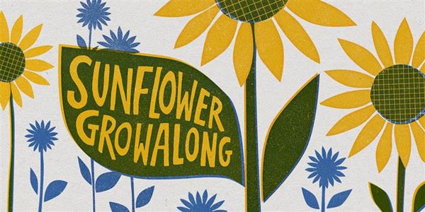 Sunflower Grow Along 2025